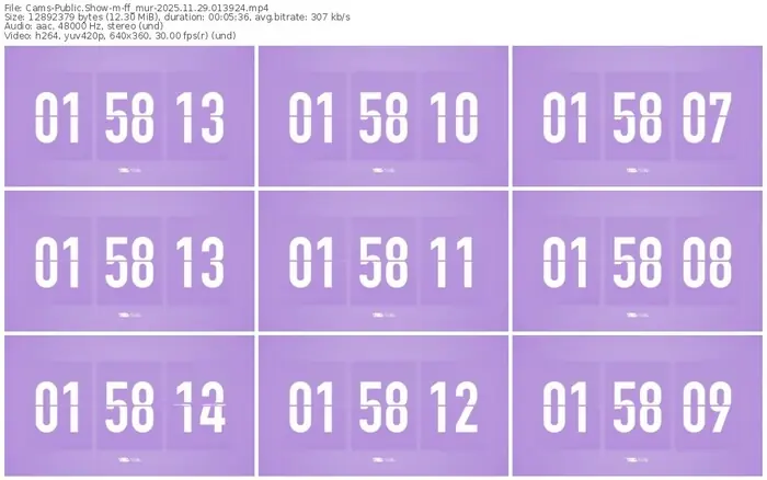 cams-ff_mur-11-29-2025-01-39-24