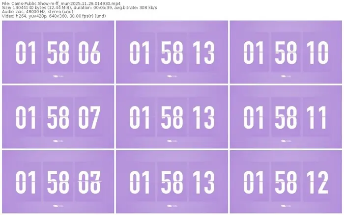 cams-ff_mur-11-29-2025-01-49-30