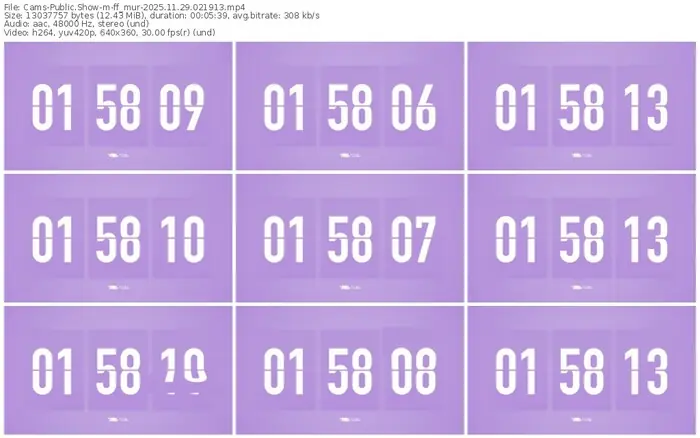 cams-ff_mur-11-29-2025-02-19-13