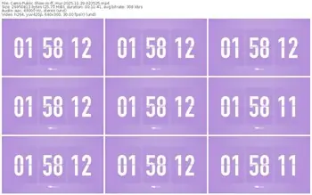 cams-ff_mur-11-29-2025-02-35-25