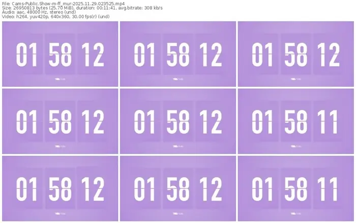 cams-ff_mur-11-29-2025-02-35-25