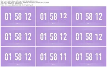 cams-ff_mur-11-29-2025-02-50-22