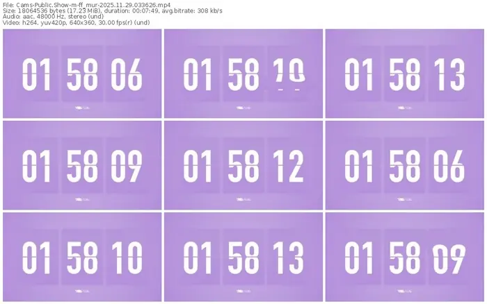 cams-ff_mur-11-29-2025-03-36-26