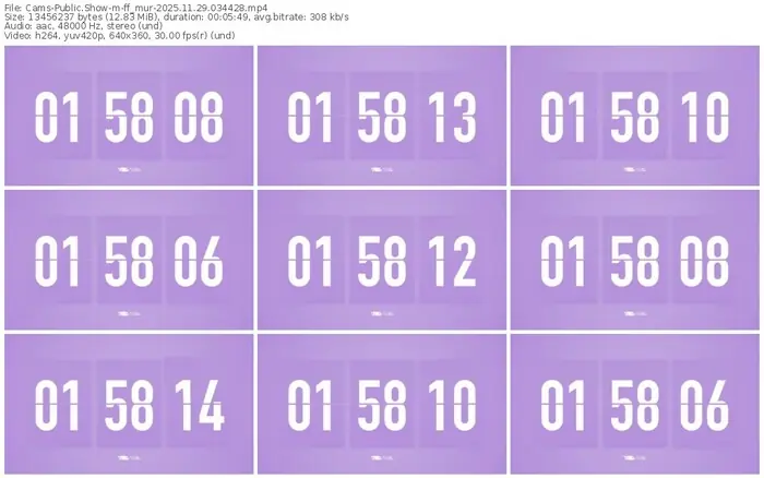 cams-ff_mur-11-29-2025-03-44-28