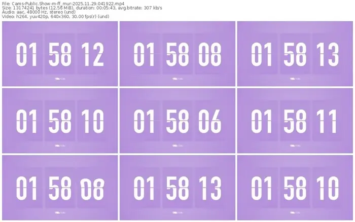 cams-ff_mur-11-29-2025-04-19-22