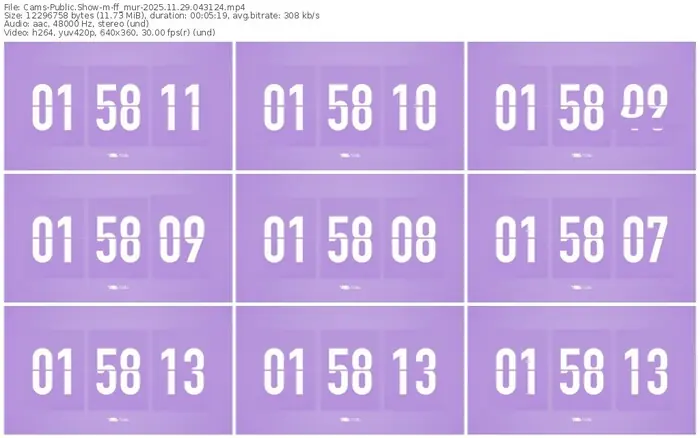 cams-ff_mur-11-29-2025-04-31-24