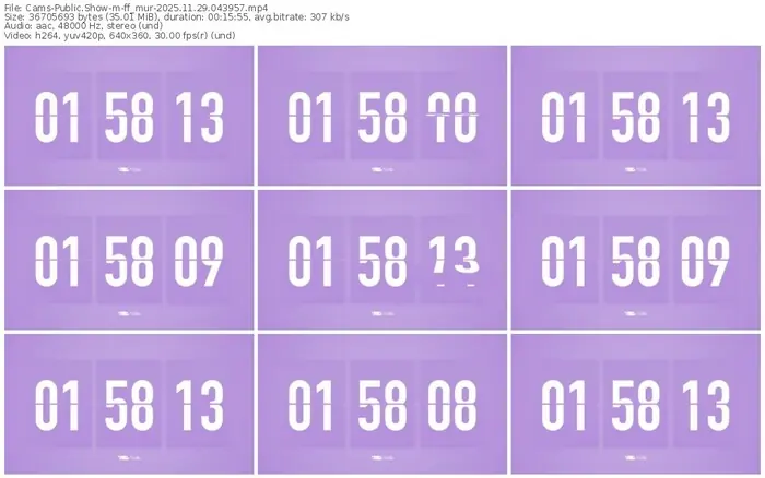 cams-ff_mur-11-29-2025-04-39-57