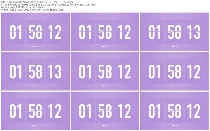 cams-ff_mur-11-29-2025-05-00-59