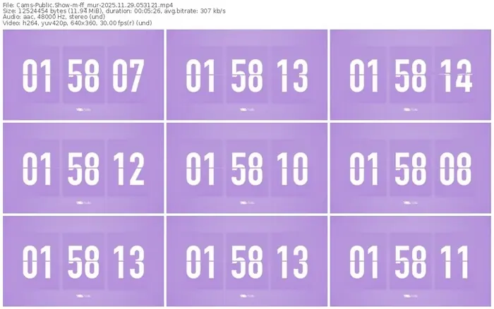 cams-ff_mur-11-29-2025-05-31-21