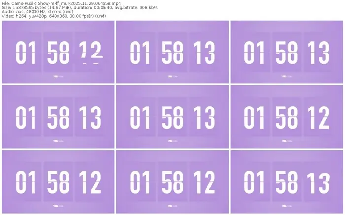 cams-ff_mur-11-29-2025-06-46-58