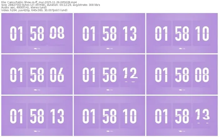 cams-ff_mur-11-29-2025-06-56-28