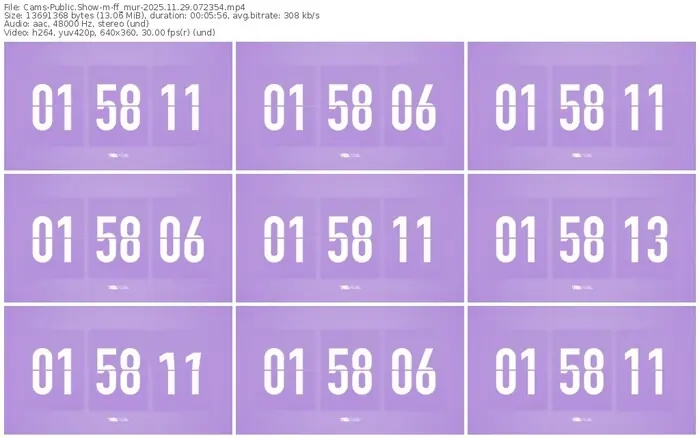 cams-ff_mur-11-29-2025-07-23-54
