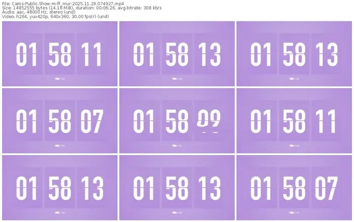 cams-ff_mur-11-29-2025-07-49-27
