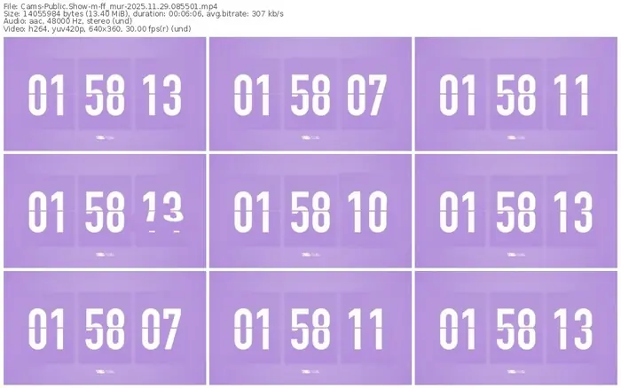 cams-ff_mur-11-29-2025-08-55-01