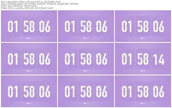 cams-ff_mur-11-29-2025-09-18-41