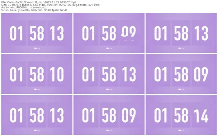 cams-ff_mur-11-29-2025-09-30-57