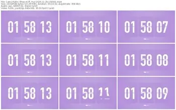 cams-ff_mur-11-29-2025-10-09-01