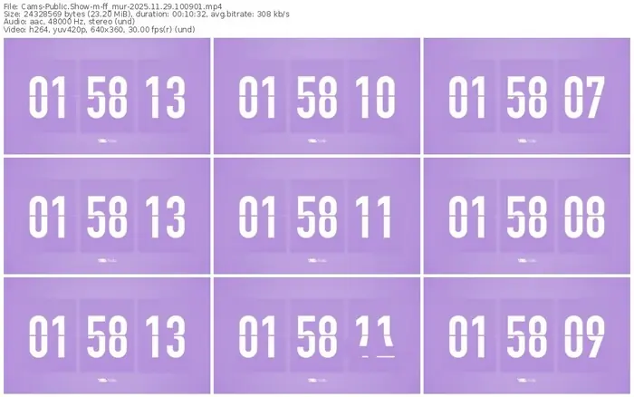 cams-ff_mur-11-29-2025-10-09-01