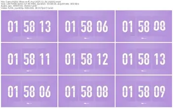 cams-ff_mur-11-29-2025-10-20-02