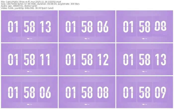 cams-ff_mur-11-29-2025-10-20-02