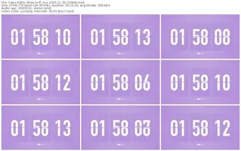 cams-ff_mur-11-29-2025-10-38-46