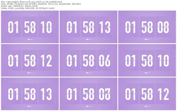 cams-ff_mur-11-29-2025-10-38-46