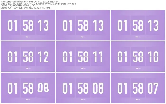 cams-ff_mur-11-29-2025-10-58-45