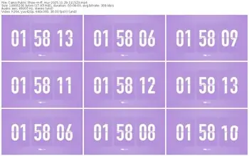 cams-ff_mur-11-29-2025-11-15-23