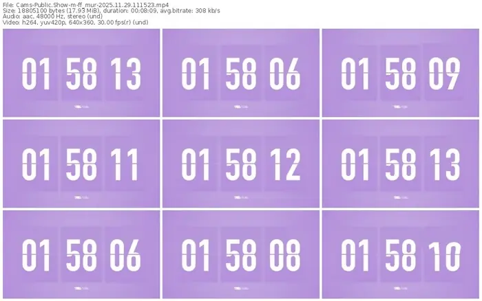 cams-ff_mur-11-29-2025-11-15-23