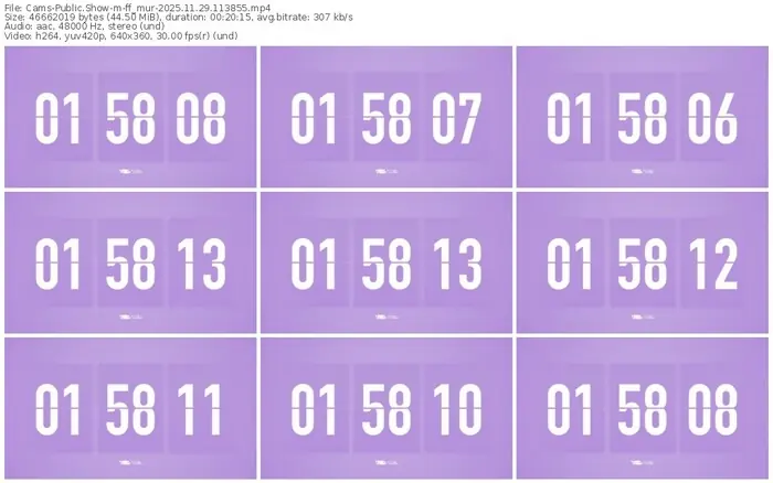 cams-ff_mur-11-29-2025-11-38-55