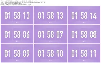 cams-ff_mur-11-29-2025-11-59-30