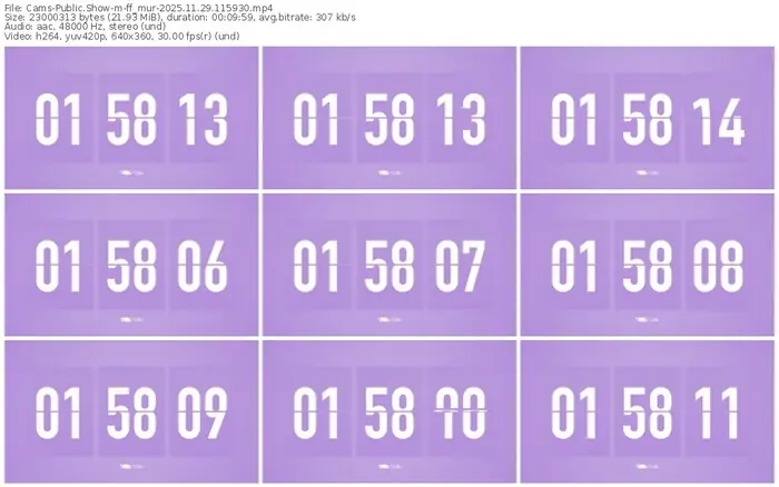 cams-ff_mur-11-29-2025-11-59-30