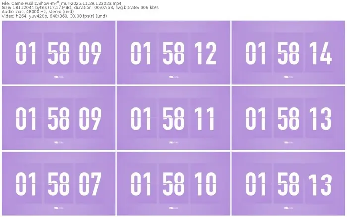 cams-ff_mur-11-29-2025-12-30-23