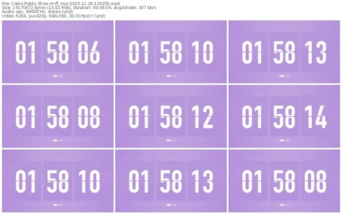 cams-ff_mur-11-29-2025-12-43-55