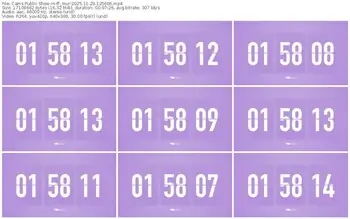 cams-ff_mur-11-29-2025-12-56-06