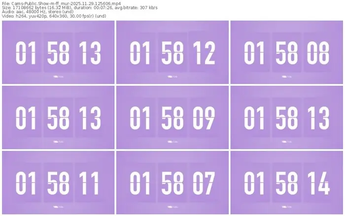 cams-ff_mur-11-29-2025-12-56-06