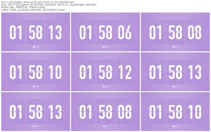 cams-ff_mur-11-29-2025-13-03-34