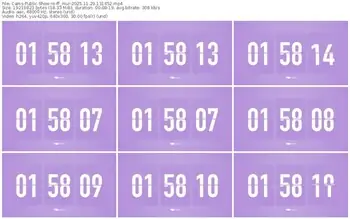 cams-ff_mur-11-29-2025-13-14-52