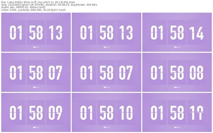 cams-ff_mur-11-29-2025-13-14-52