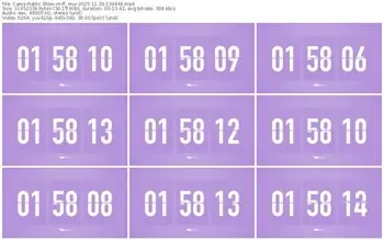 cams-ff_mur-11-29-2025-13-44-49