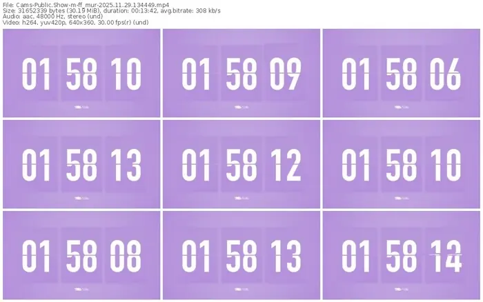 cams-ff_mur-11-29-2025-13-44-49