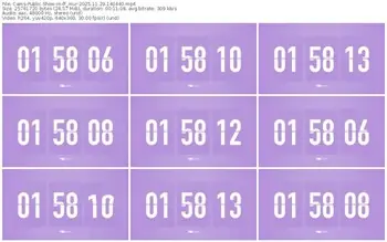 cams-ff_mur-11-29-2025-14-04-40