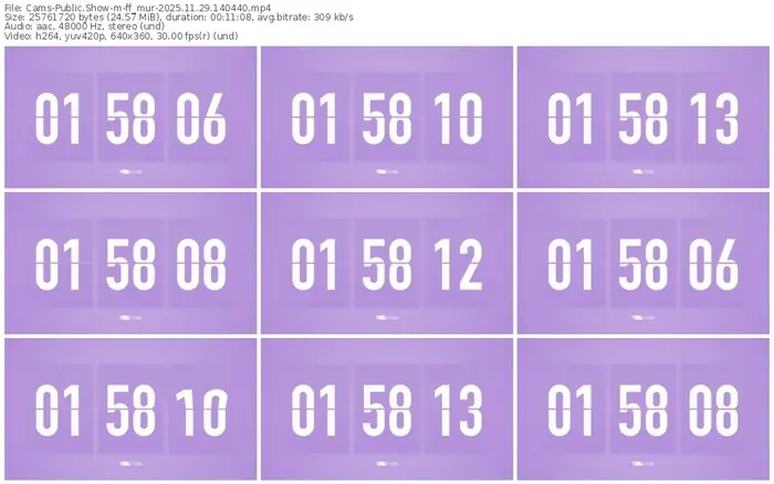 cams-ff_mur-11-29-2025-14-04-40