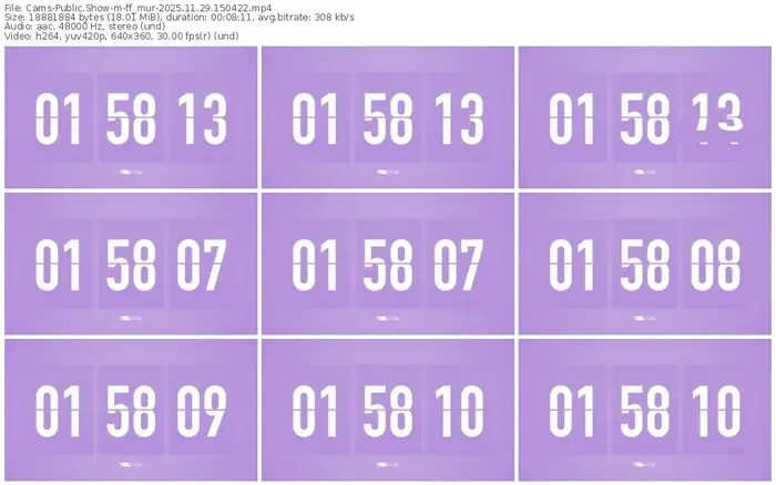 cams-ff_mur-11-29-2025-15-04-22