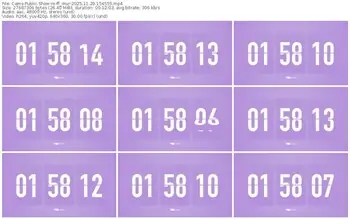 cams-ff_mur-11-29-2025-15-45-55