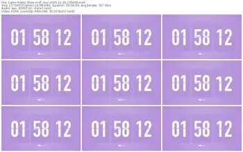 cams-ff_mur-11-29-2025-15-58-08