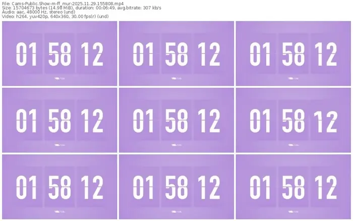 cams-ff_mur-11-29-2025-15-58-08