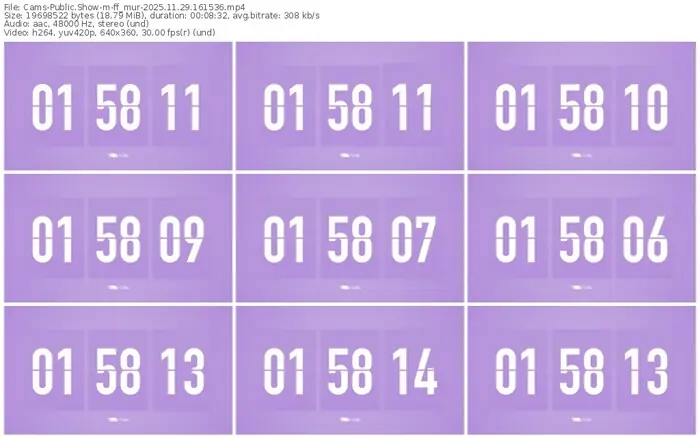 cams-ff_mur-11-29-2025-16-15-36