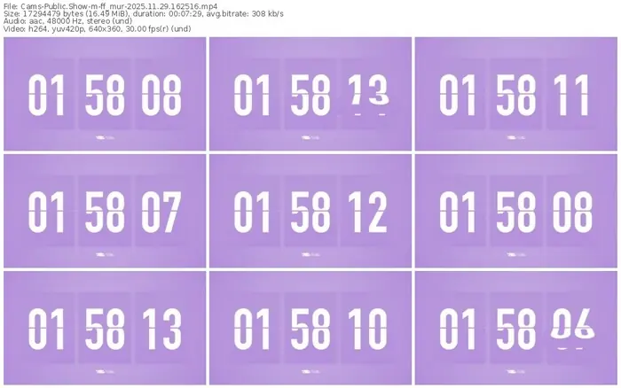 cams-ff_mur-11-29-2025-16-25-16