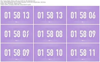 cams-ff_mur-11-29-2025-16-42-23